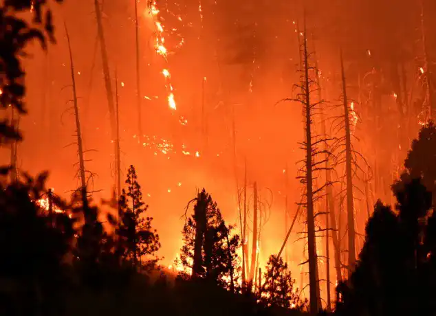 Fire in Twain, California, USA