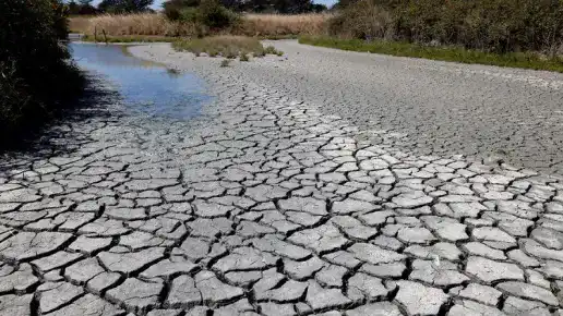 Des marais salants désséchés sur l'Île de Noirmoutiers